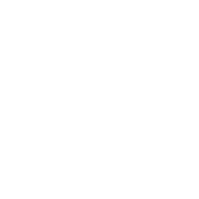 Seattle Chauffeur Service - Cruise Ship Icon