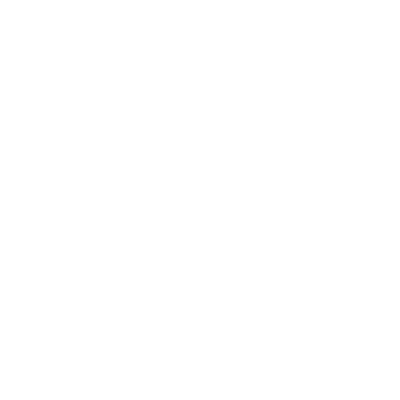 Seattle Chauffeur Service - Plane Icon