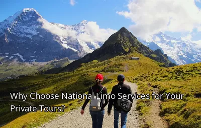 Why Choose National Limo Services for Your Private Tours?
