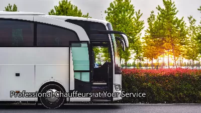 Professional Chauffeurs at Your Service Professional Chauffeurs at Your Service